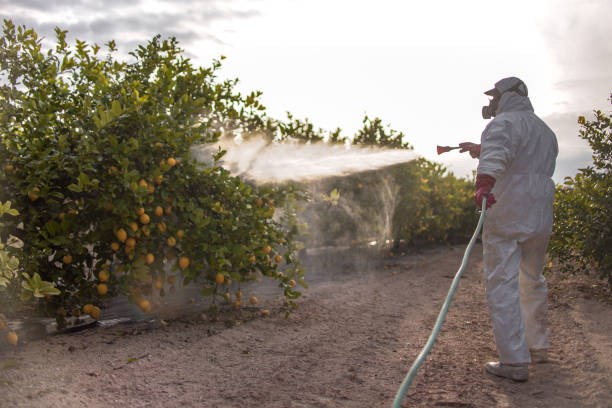 Best Mosquito Control Services  in Tonka Bay, MN